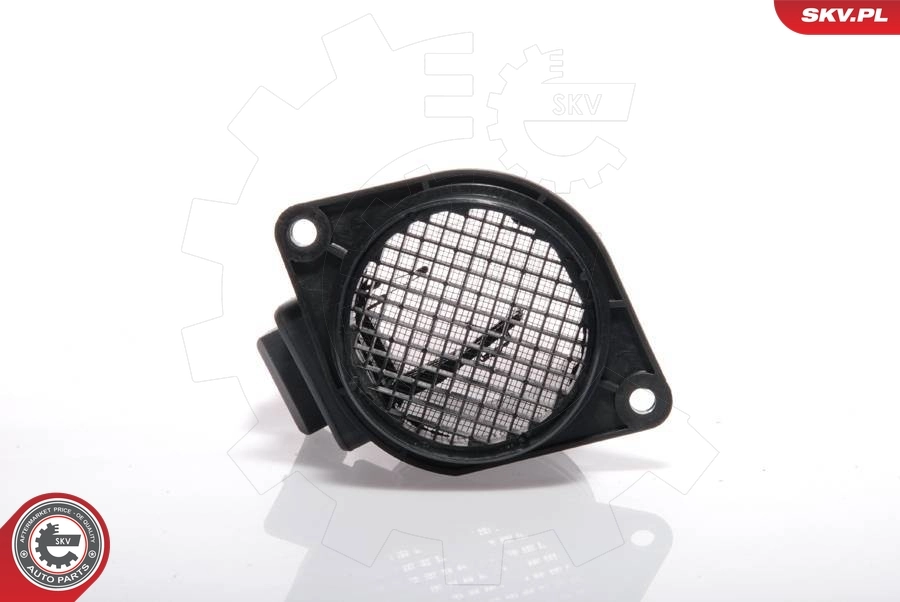 Mass Air Flow Sensor